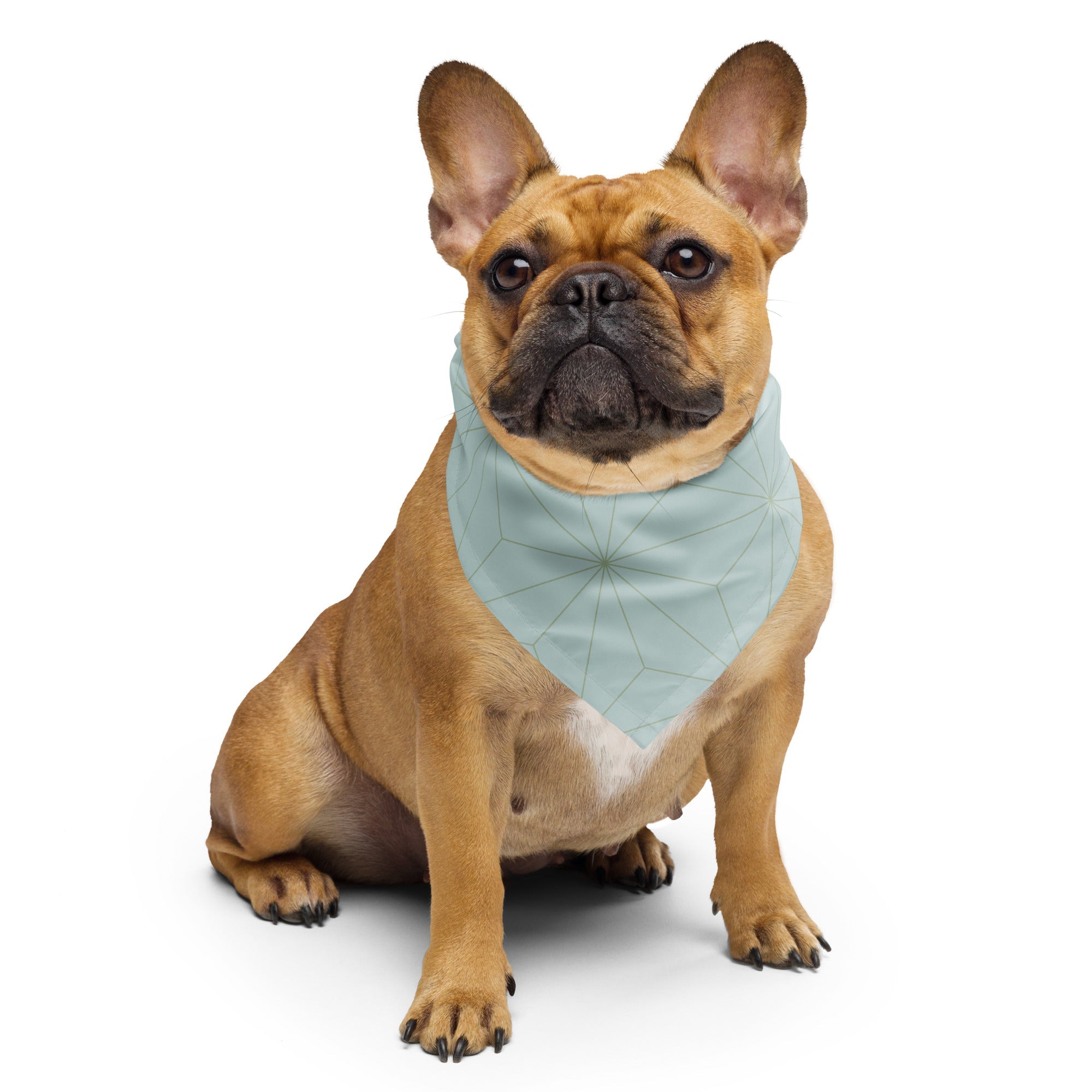 Sebastian & Clementine Geometric Bandana For Dogs and Cats L