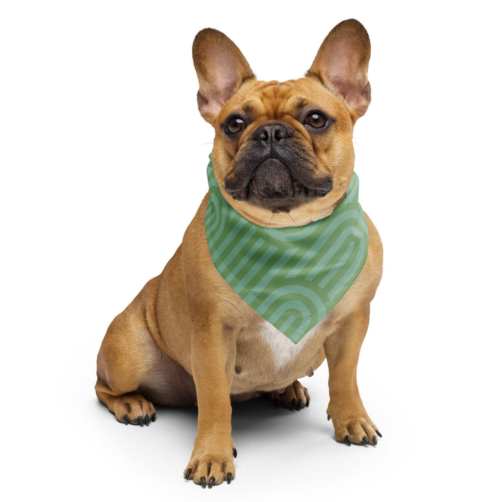 Sebastian & Clementine Scalloped Green Bandana For Dogs and Cats L
