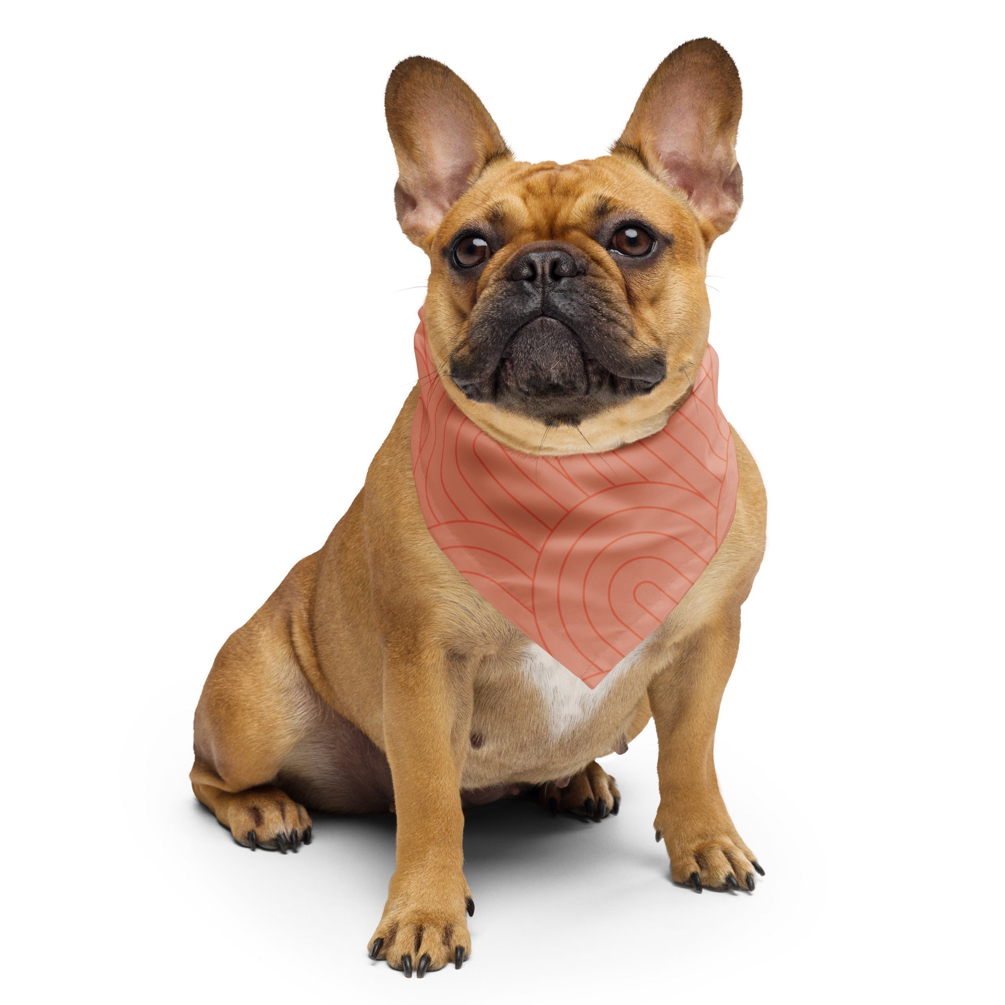 Sebastian & Clementine Scalloped Pink Bandana For Dogs and Cats L