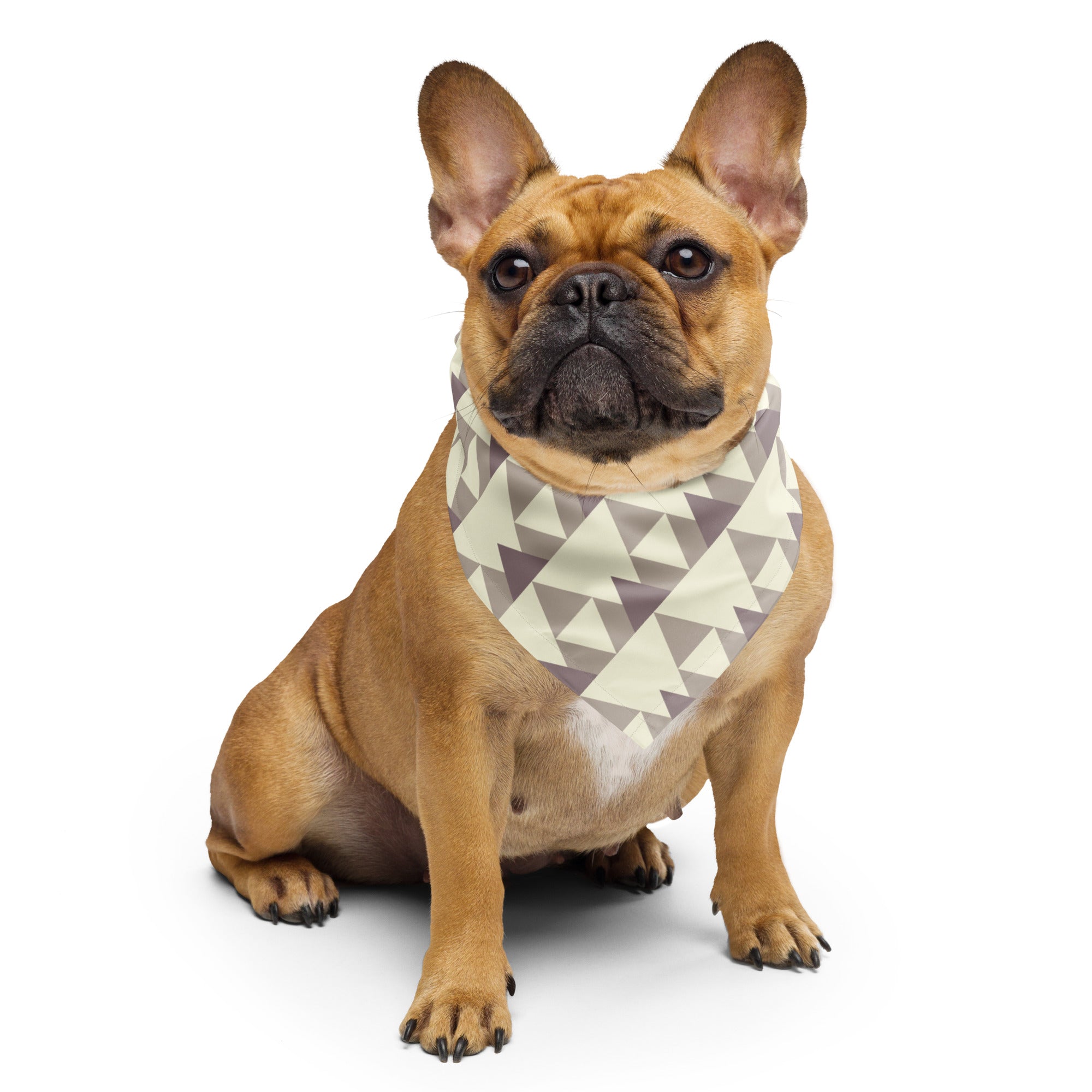 Sebastian & Clementine Triangles Bandana For Dogs and Cats L