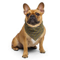 Sebastian & Clementine Forward Movement Bandana For Dogs and Cats L