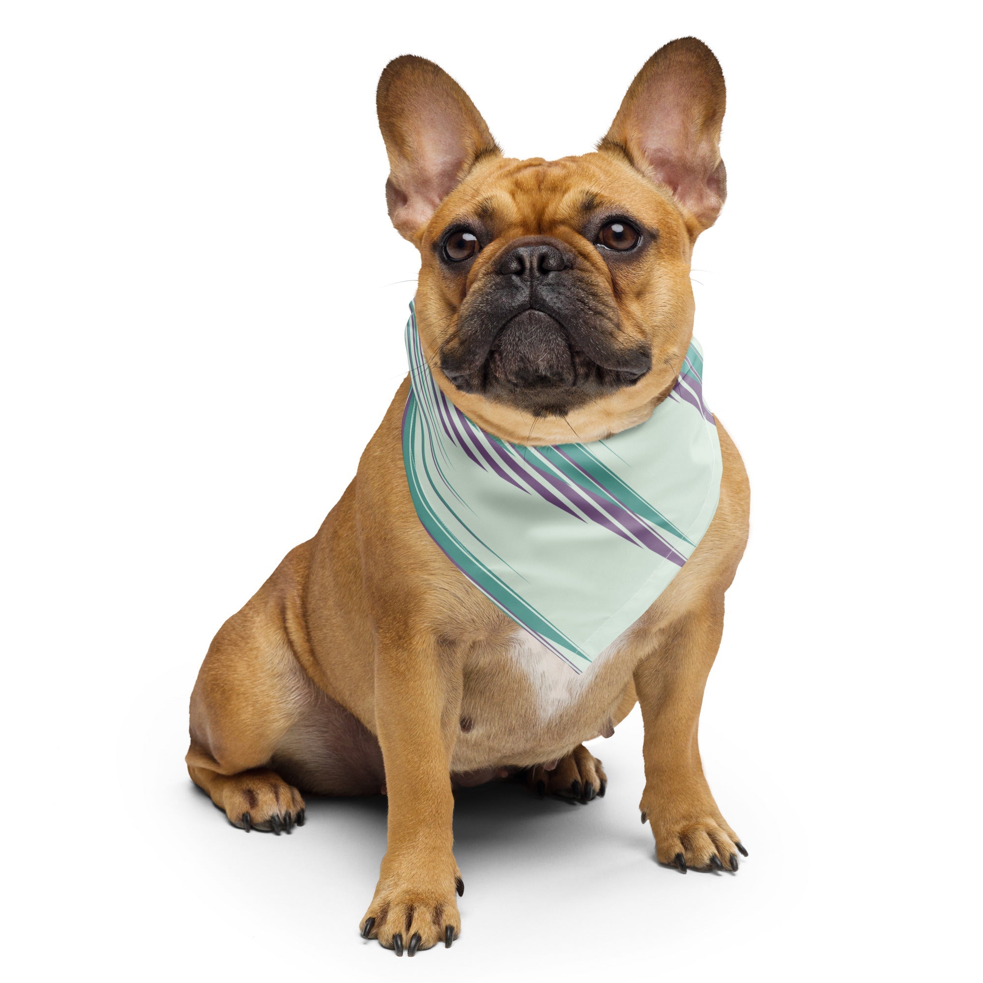 Sebastian & Clementine 80s Abstract Bandana For Dogs and Cats L