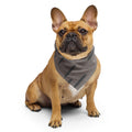 Sebastian & Clementine Digital Bark Bandana For Dogs and Cats L