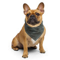 Sebastian & Clementine Gray Circles Bandana For Dogs and Cats L