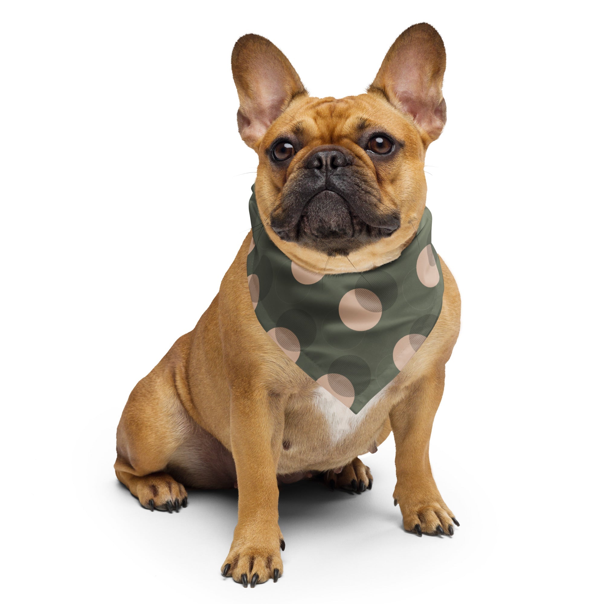 Sebastian & Clementine Polka Dot Bandana For Dogs and Cats L