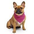 Sebastian & Clementine Pink Points Bandana For Dogs and Cats L