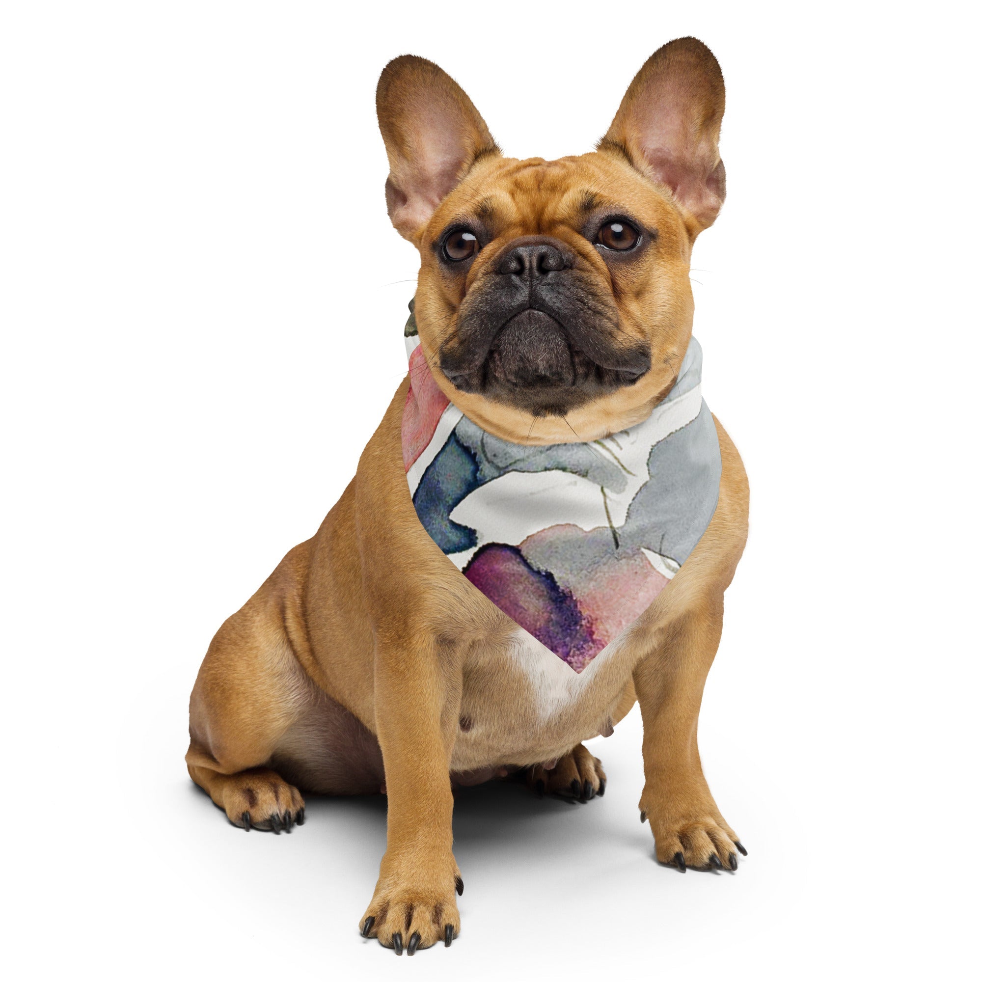 Sebastian & Clementine Studies Bandana For Dogs and Cats