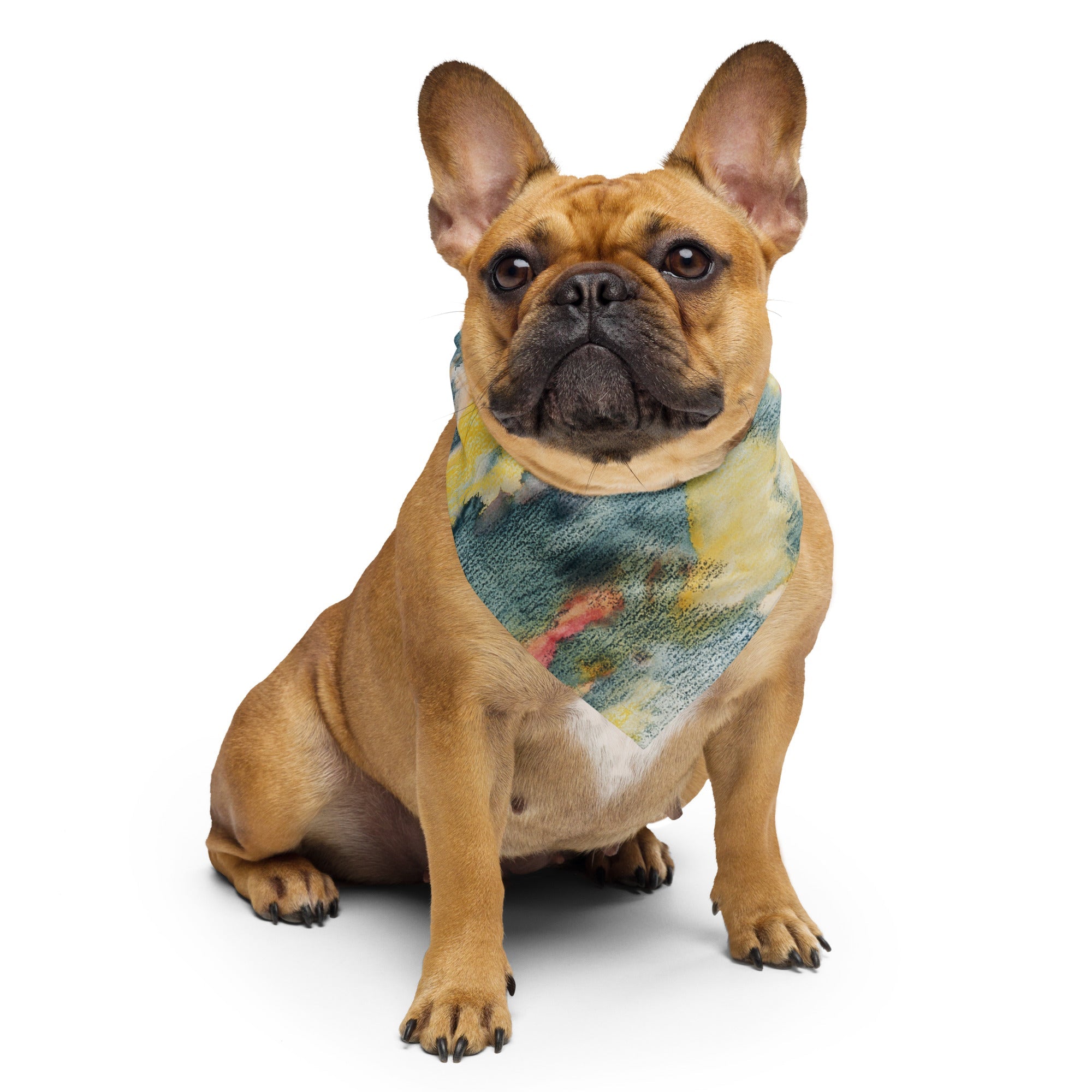 Sebastian & Clementine Sunset, Acapulco Bandana For Dogs and Cats