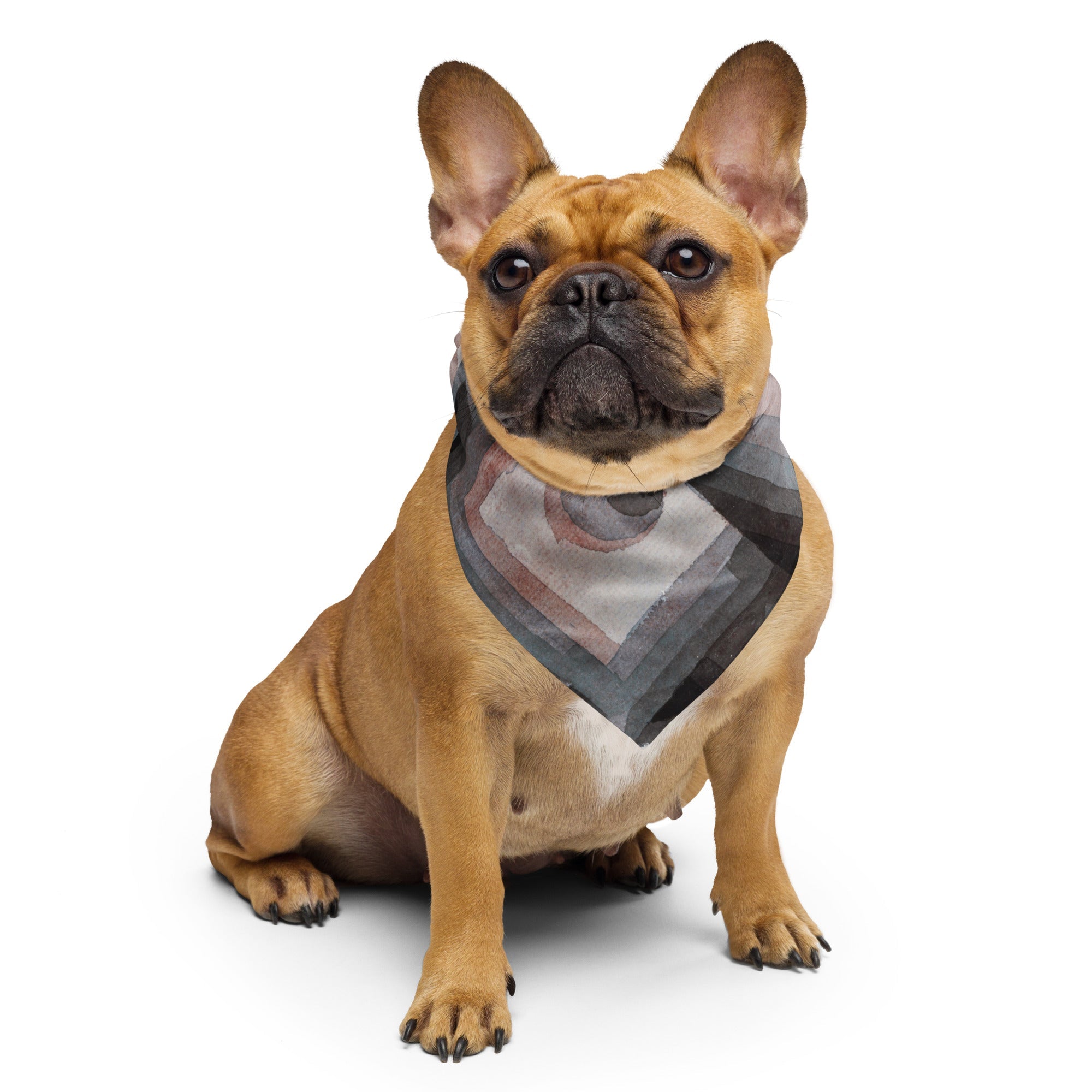 Sebastian & Clementine Crystal Graduation Bandana For Dogs and Cats