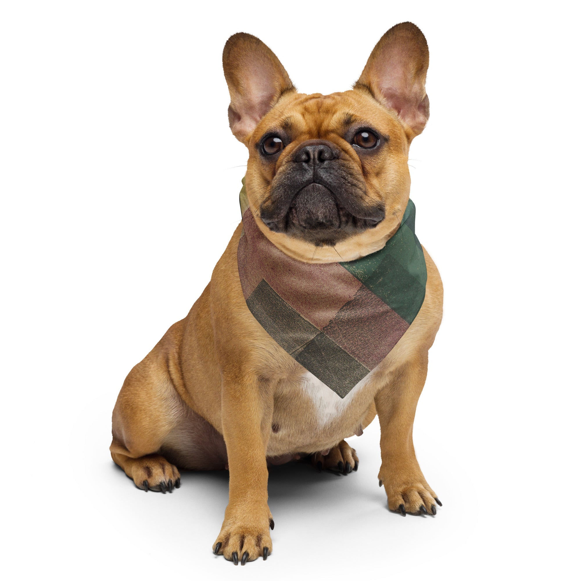 Sebastian & Clementine Composition Bandana For Dogs and Cats