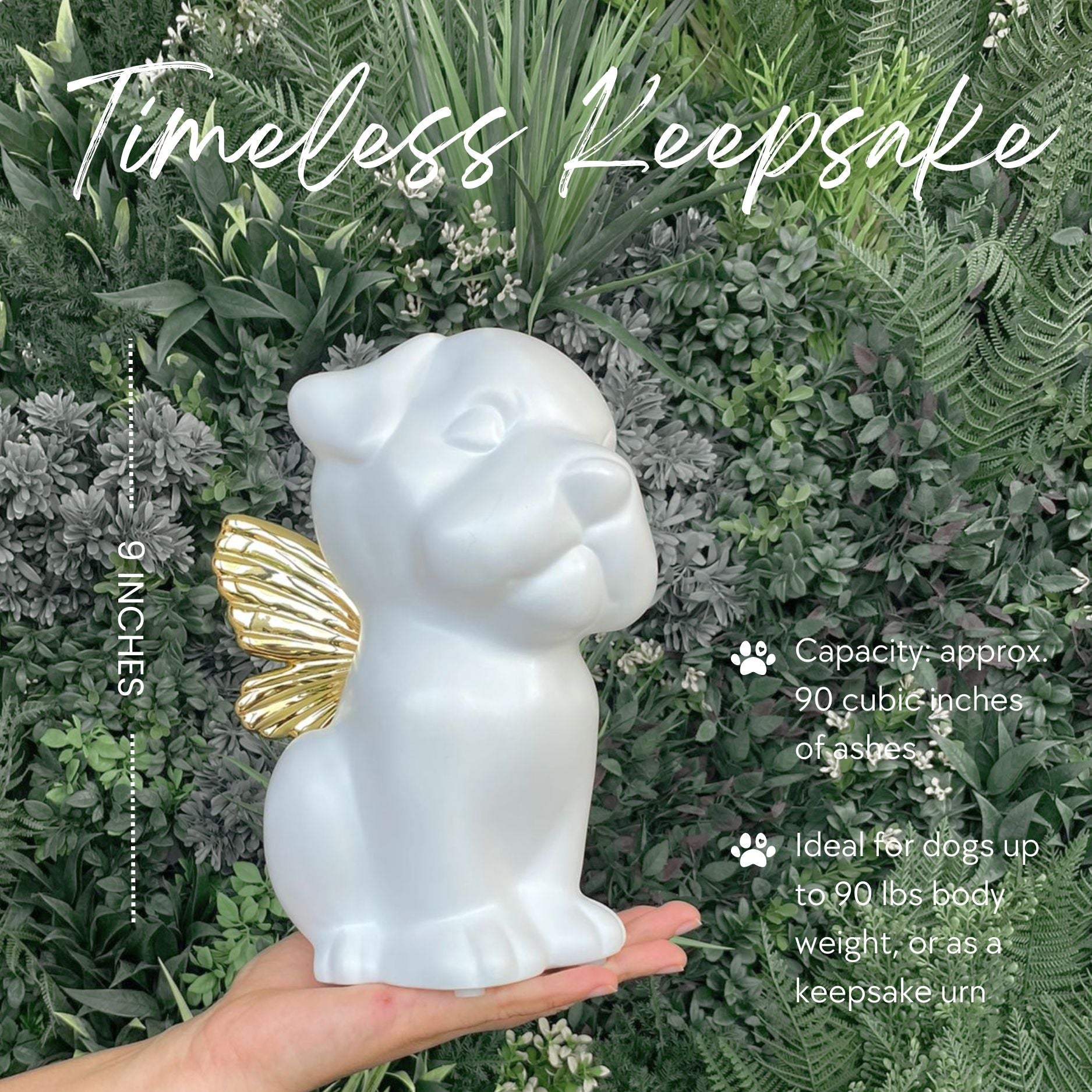 Bully Angel Dog Urn - White with Gold Wings (Great for all bully breeds: Frenchies, Pugs, Boston terriers, Pit bulls, Boxers, and Bulldogs)