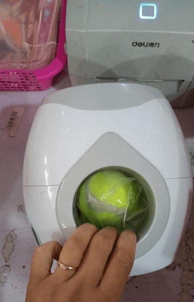 Automatic Pet Training And Feeding System Light Ht White