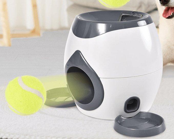 Automatic Pet Training And Feeding System Grey White