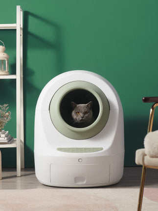 Automatic Enclosed Wi-Fi Smart Cat Litter Box Green 220V US