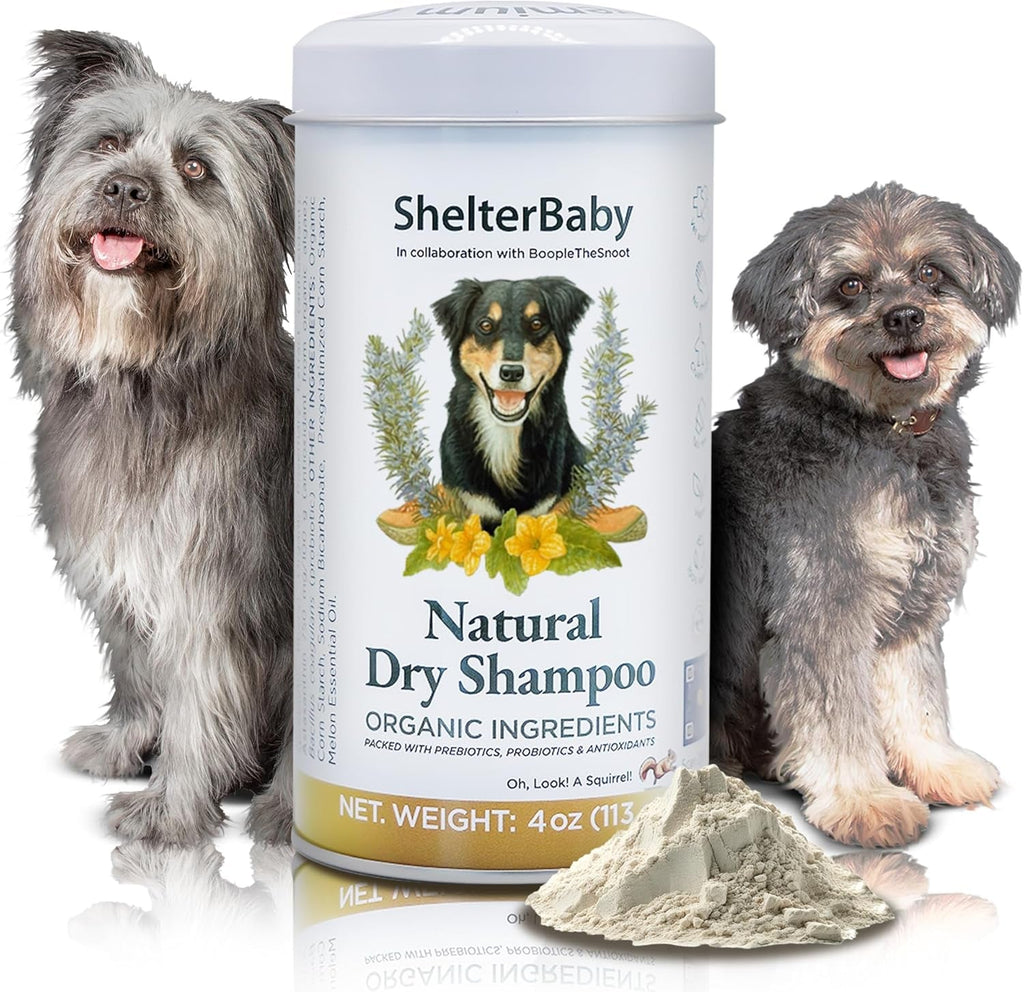 Dry Shampoo for Dogs Itchy Skin Paw Licking Allergy Support Powder 1-Pack