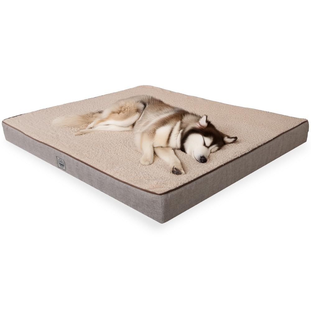 Orthopedic Dog Bed for Medium Dogs- Waterproof Ultra Soft Foam Pet Bed Mat Removable Washable Cover and Nonskid Bottom Beige ECRU & BEIGE Medium 31.4"L x 23.6.0"W x 3.1"Th