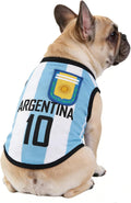 2026 World Cup Soccer Jersey Mesh Pet Shirt Small to 6XL Argentina