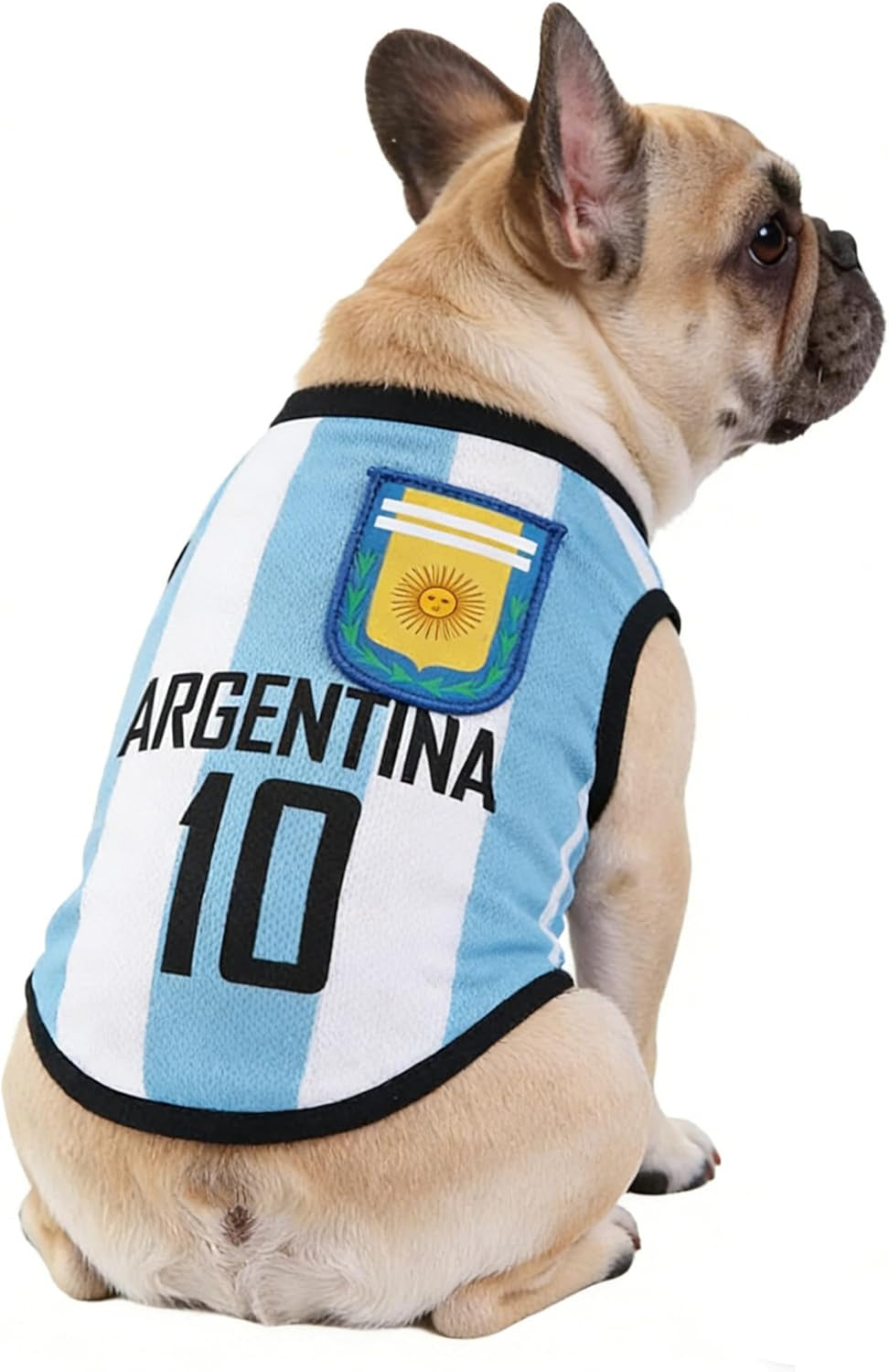 2026 World Cup Soccer Jersey Mesh Pet Shirt Small to 6XL Argentina