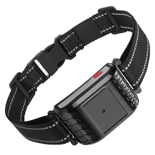 GBruno 990FT Range Dog Wireless Fence Receiver