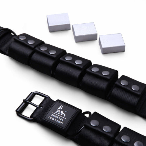 BESTIA DOG SPORT Weighted Dog Training Collar Black