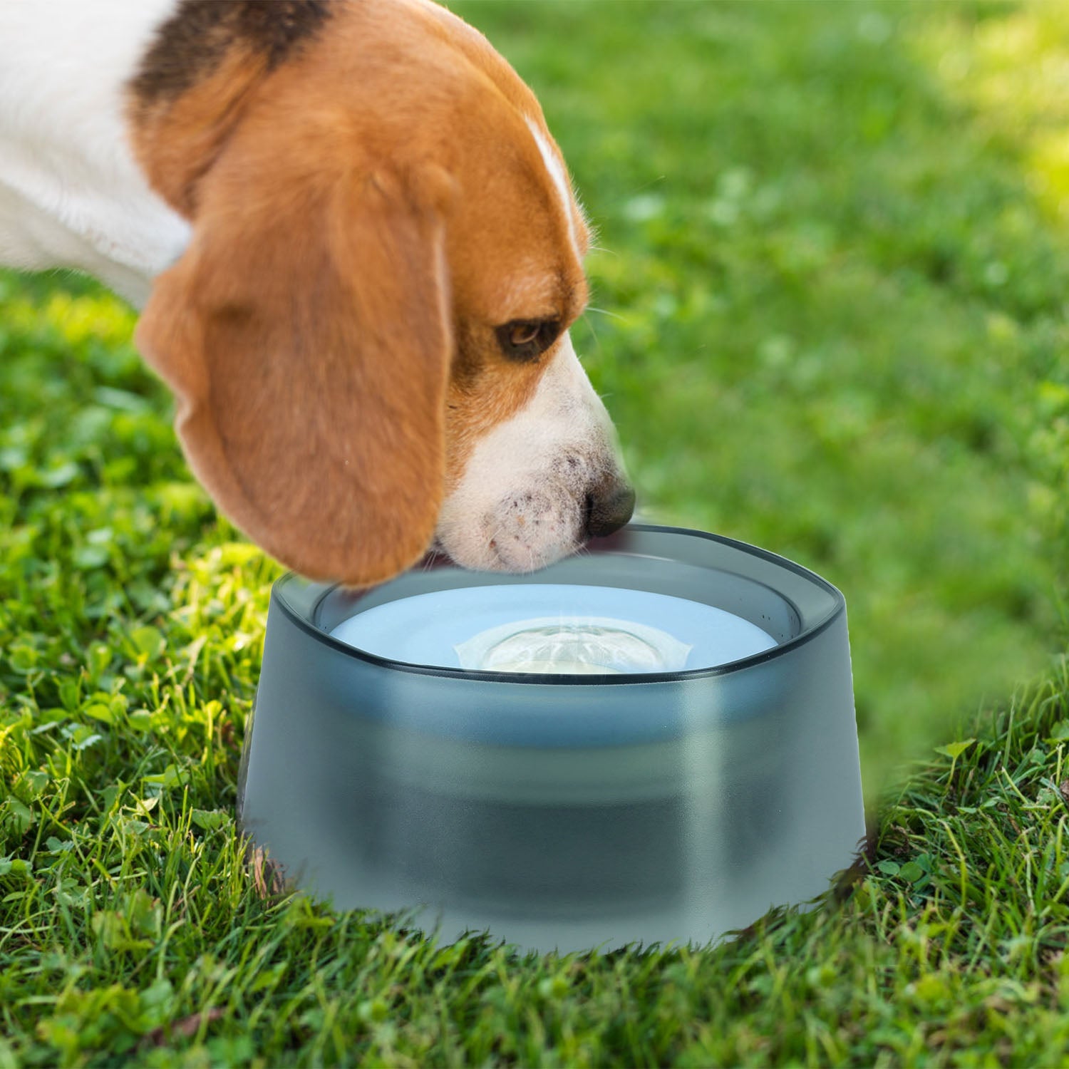 GBruno No Spill Dog Cat Water Bowl
