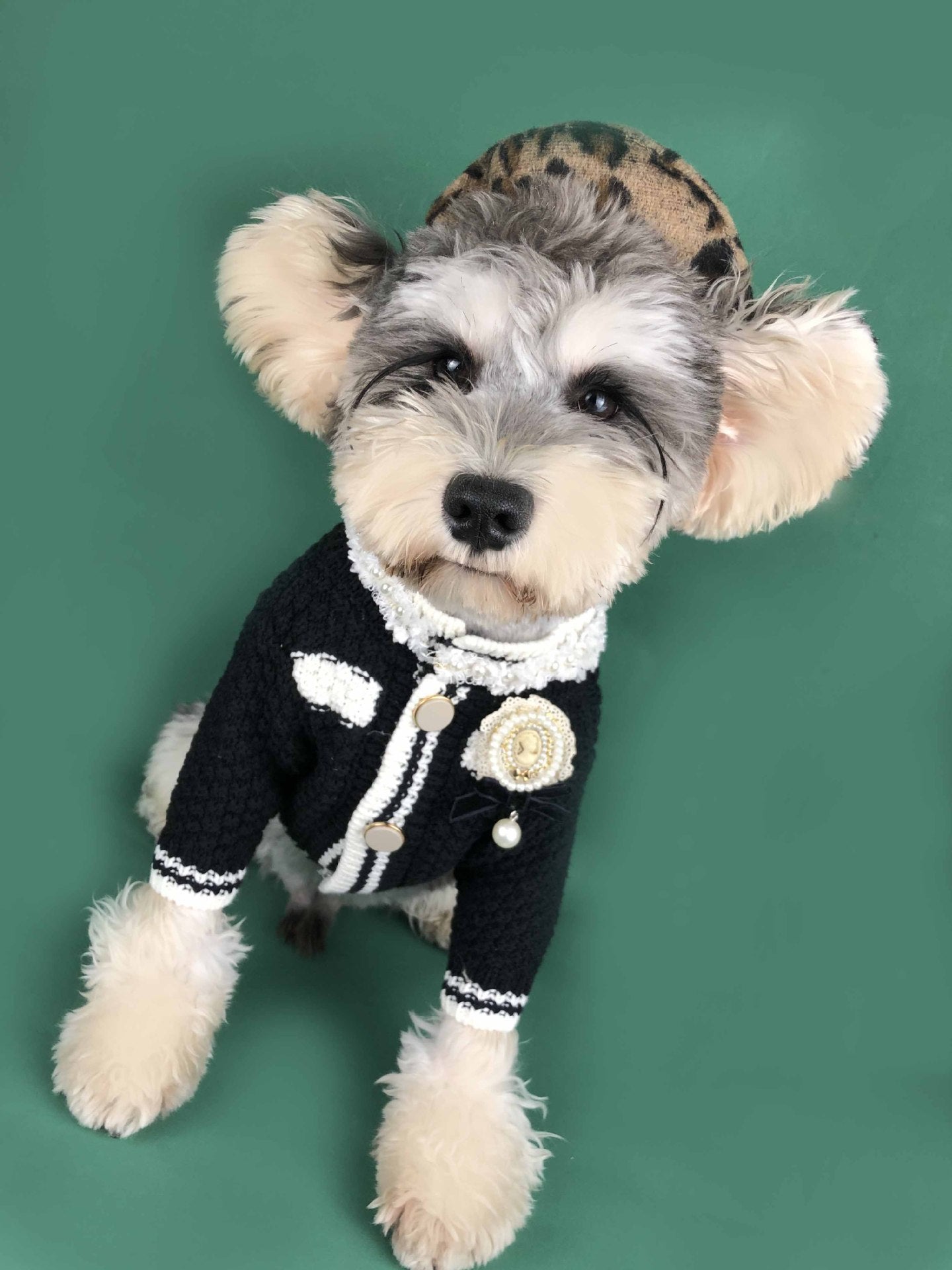 Pet sweater kint fashion cardigan Black