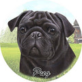 Pug (Black) Car Coaster