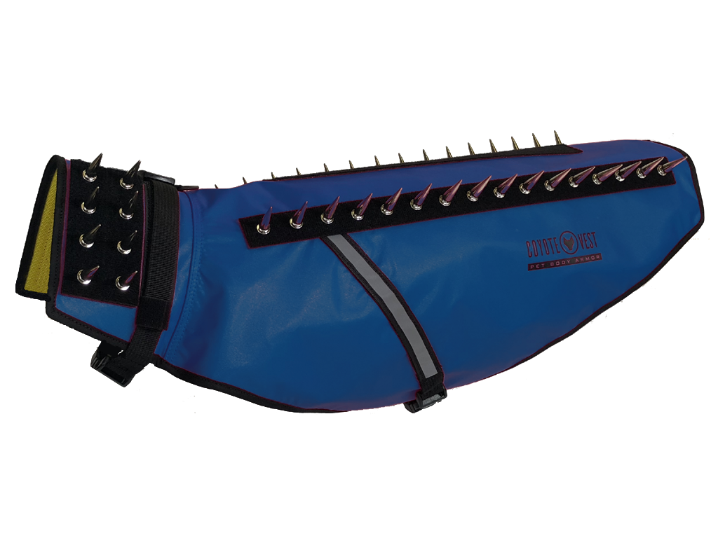 CoyoteVest Large Royal Blue