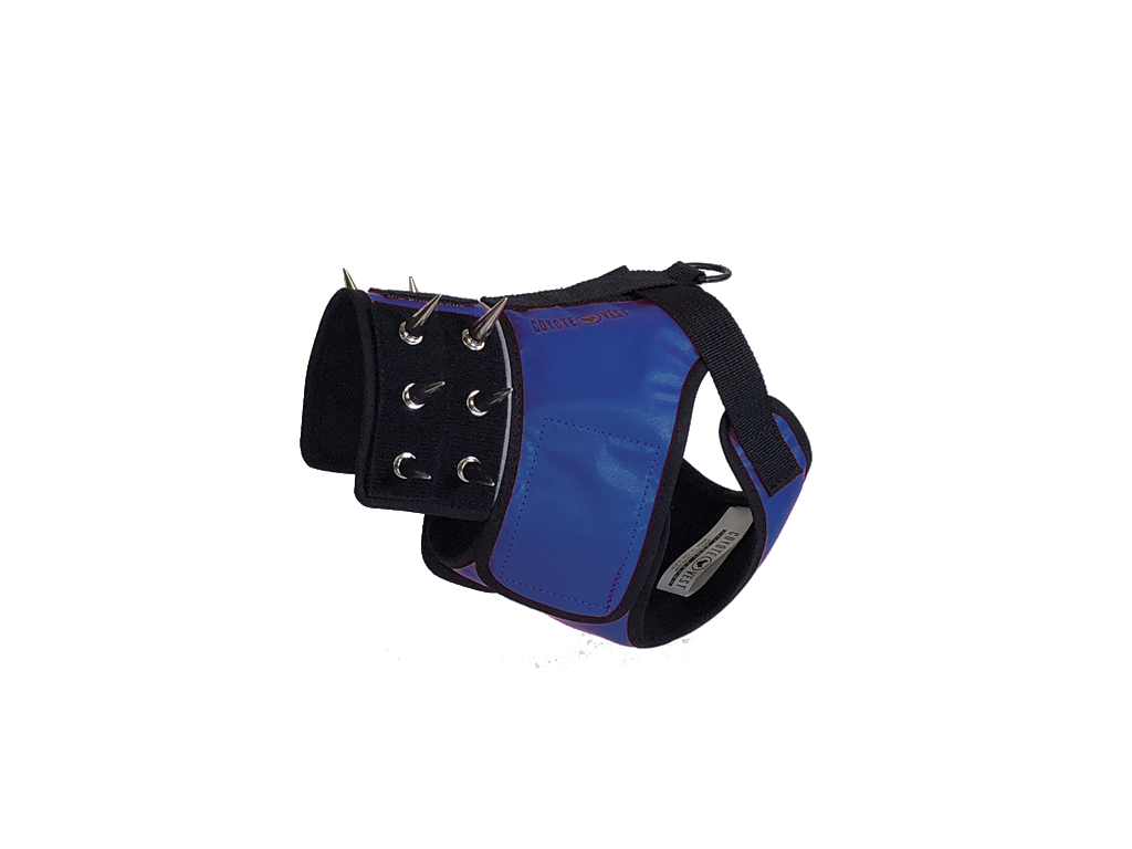 SpikeHarness Small Royal Blue