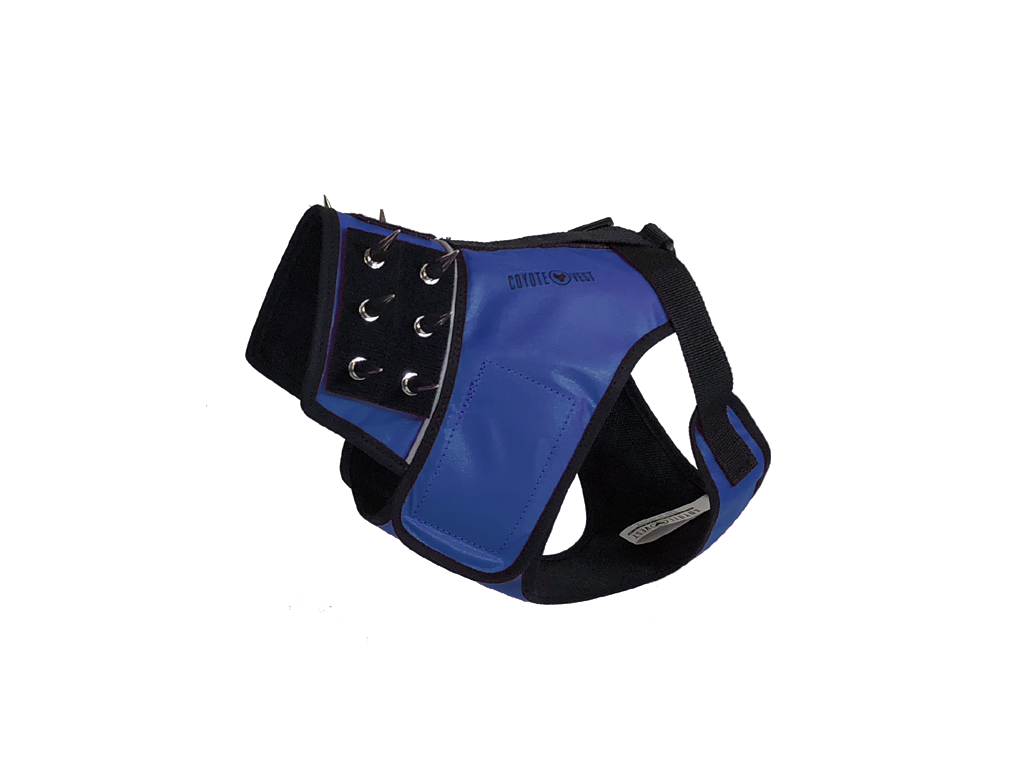 SpikeHarness Medium Royal Blue
