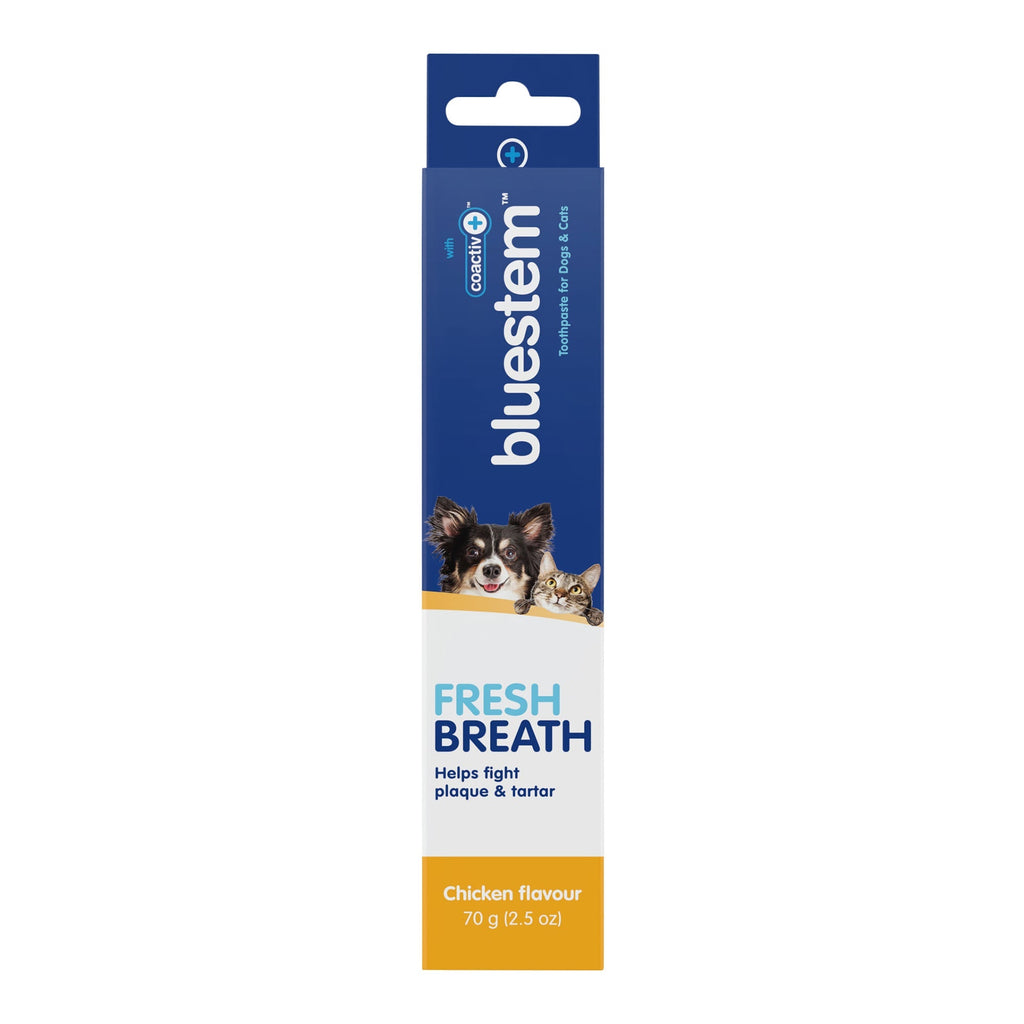 Bluestem Coactiv+ Pet Toothpaste for Dogs and Cats, Chicken Flavor, 2.5 oz Chicken 2.5 oz 1 Tube