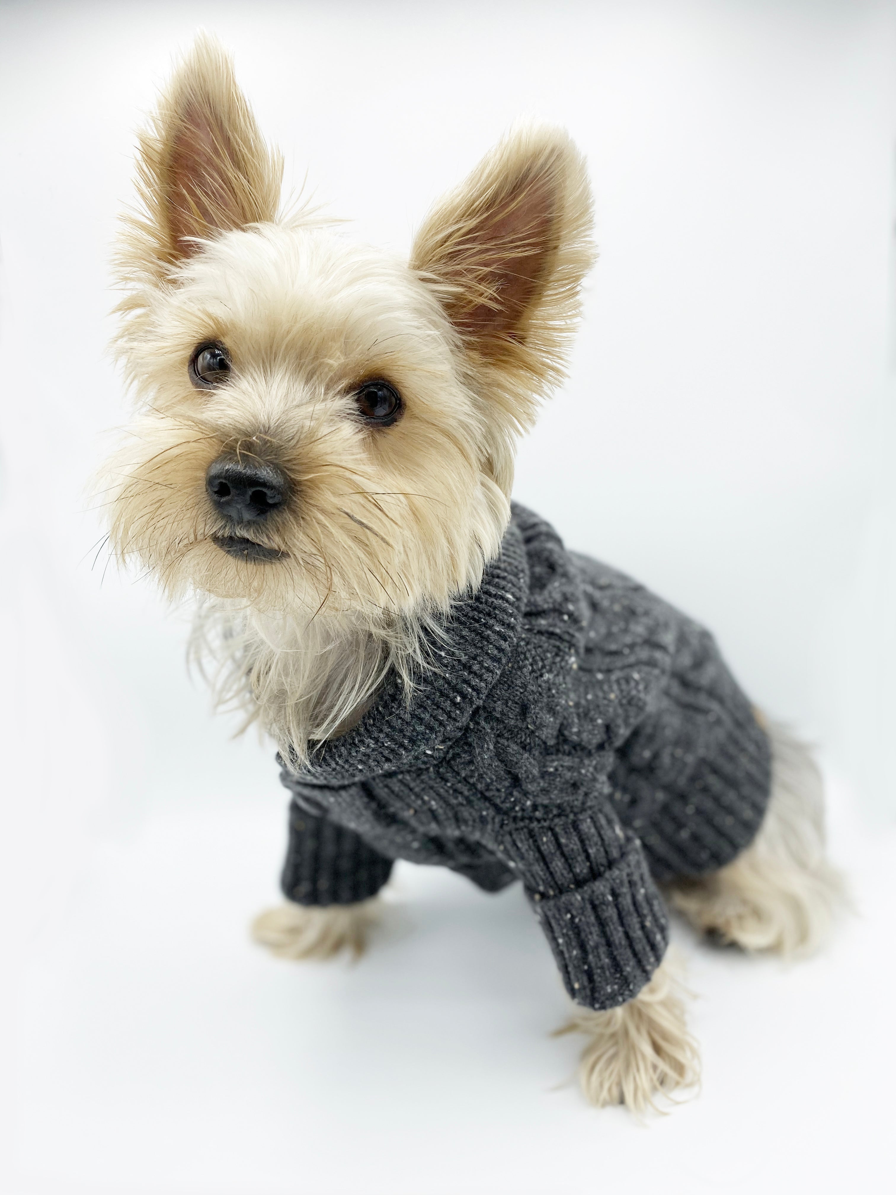Brooklyn Cashmere Cardigan, Charcoal SMALL