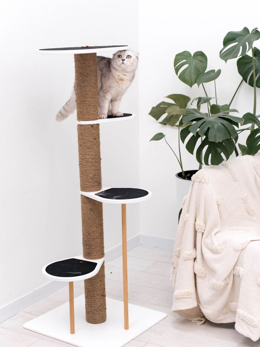 Cat Climbing Tower