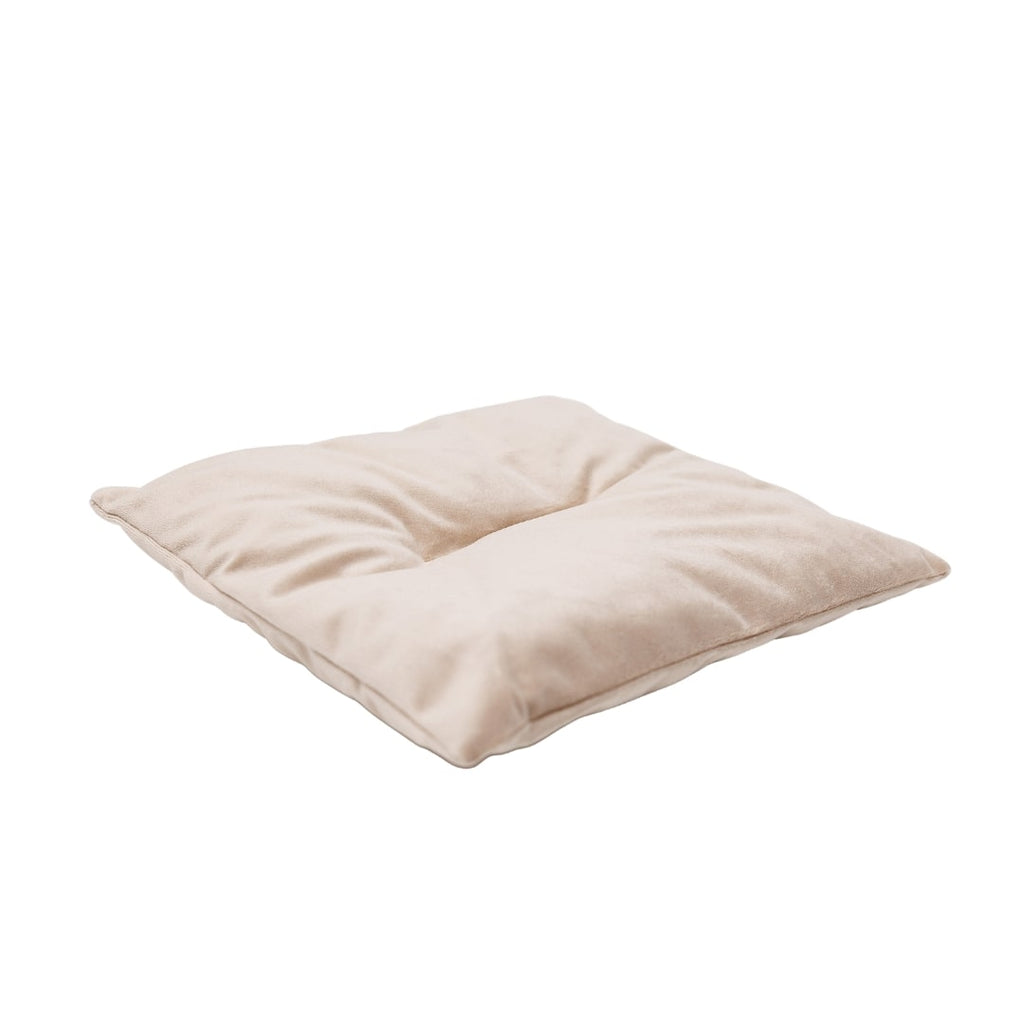 Cat Cushion Pillow