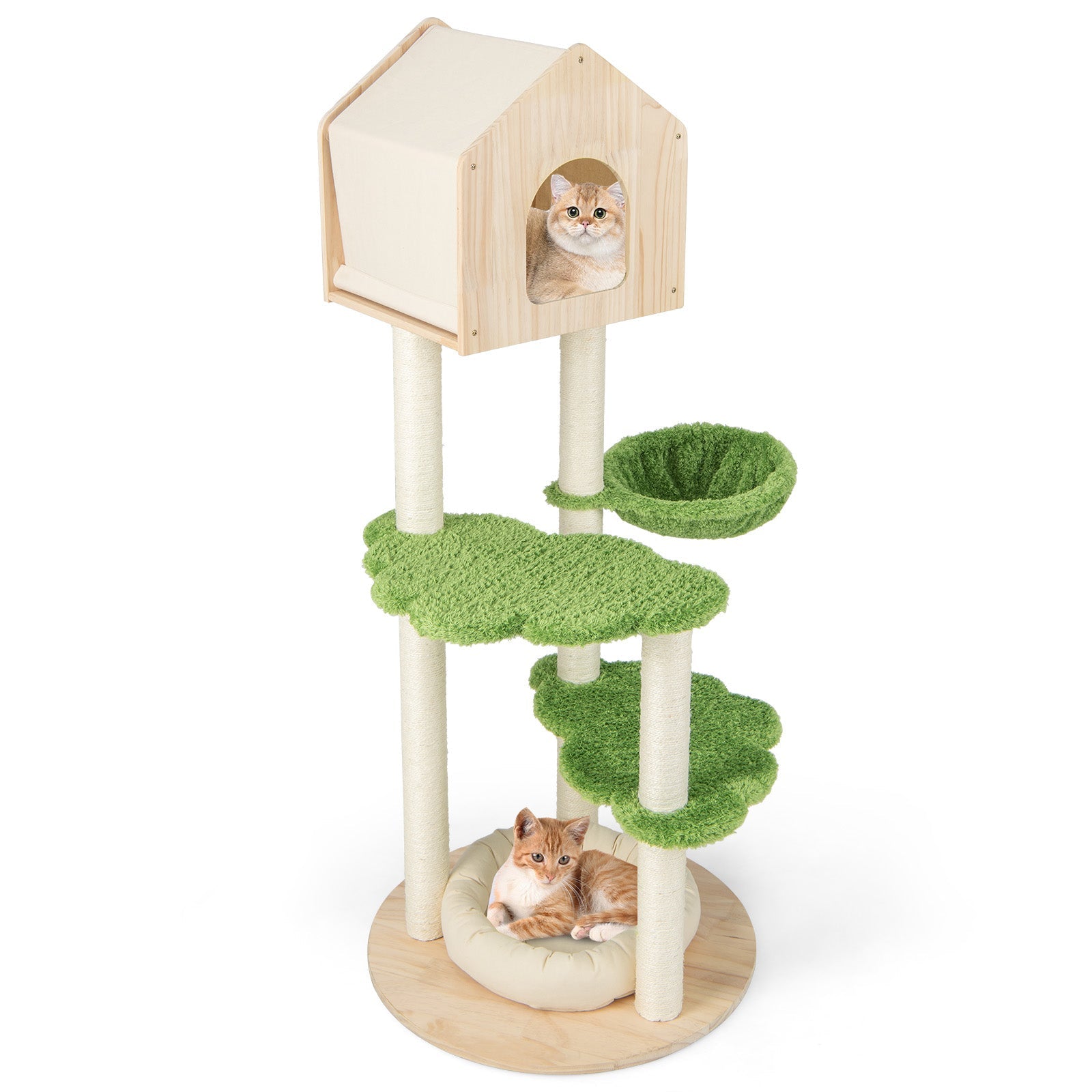 55 Inch Tall Cat Climbing Stand with Sisal Scratching Posts and Soft Cat Bed for Indoor Kittens-Green Default Title