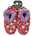 Cavalier King Charles Slippers - Comfies