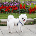 Leashing Rope For Dogs Cats Chest Straps Pet Supplies Ocean Blue