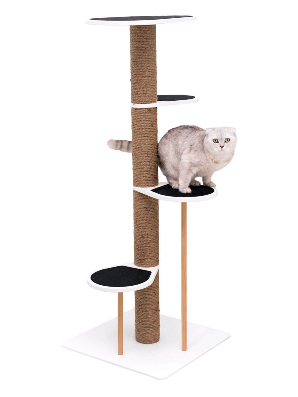 Cat Climbing Tower Big