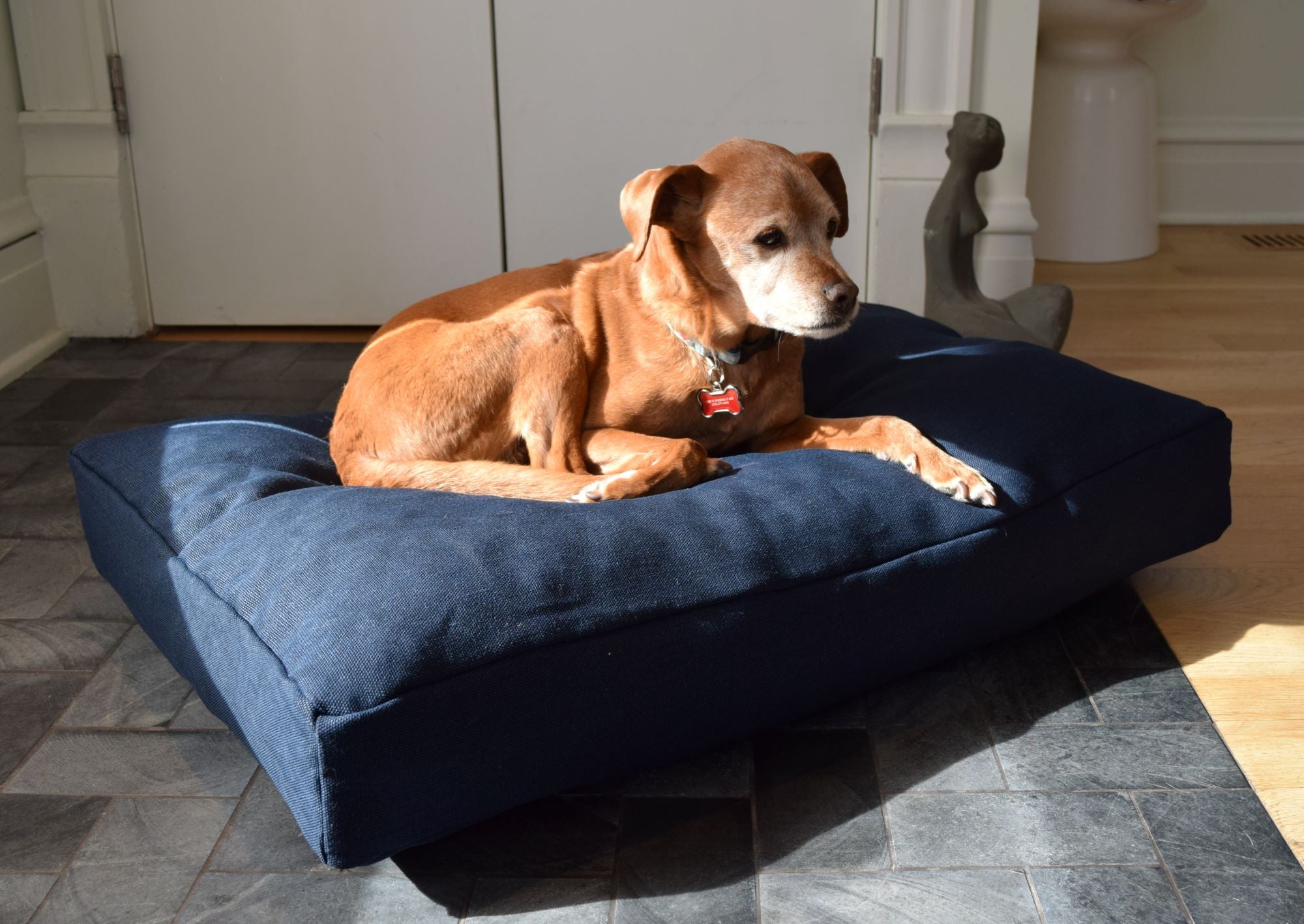Premium Hemp Dog Bed - Organic Latex Foam Fill Blueberry
