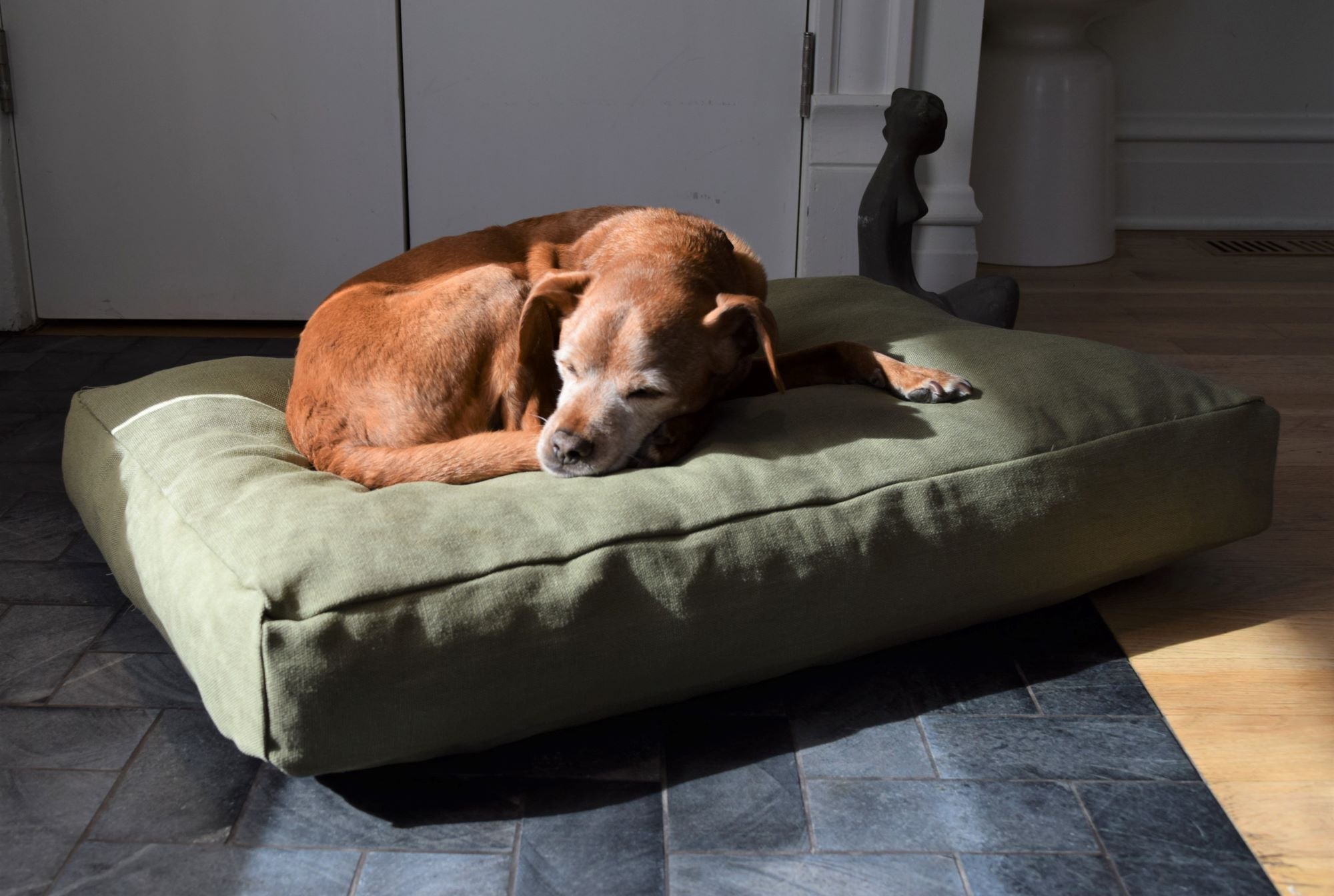 Premium Hemp Dog Bed - Organic Latex Foam Fill Cactus