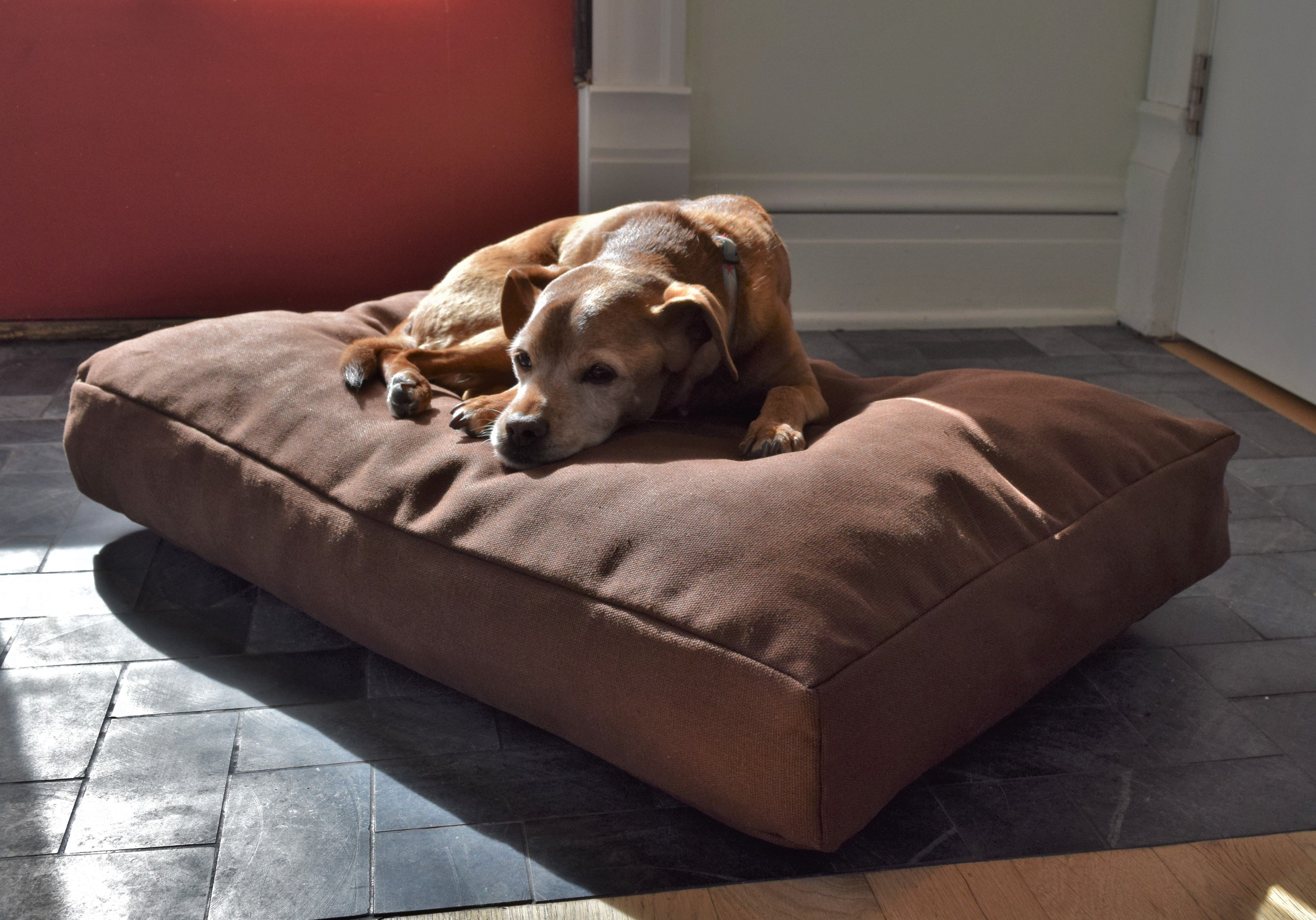 Premium Hemp Dog Bed - Organic Latex Foam Fill Cocoa