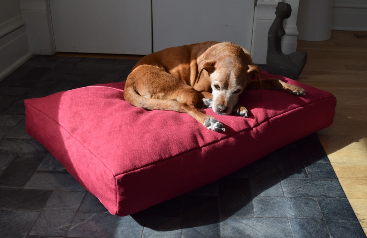 Premium Hemp Dog Bed - Organic Latex Foam Fill Cranberry
