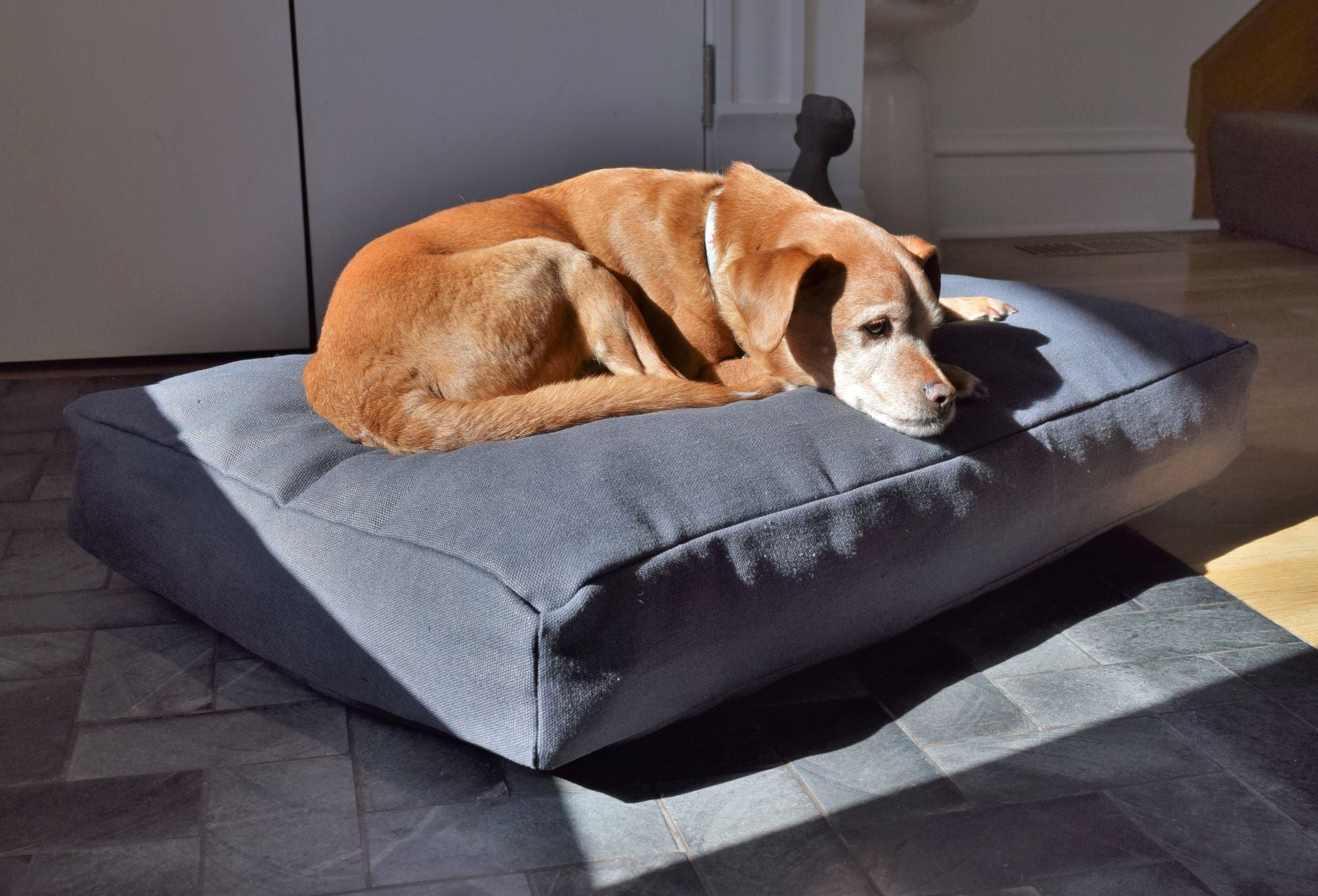 Premium Hemp Dog Bed - Organic Latex Foam Fill Shadow Grey