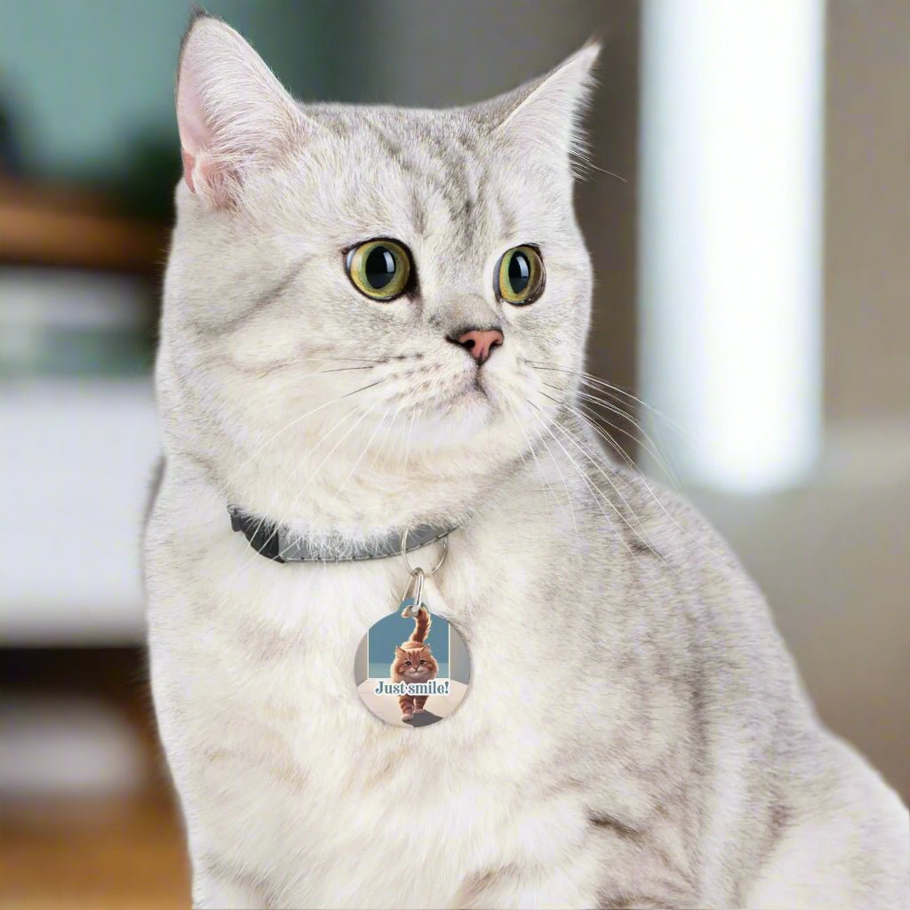 Cute Cat Pet Tag - 'Just Smile!' Decorative Tag for Dogs and Cats 1"