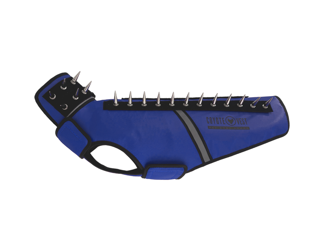 SpikeJacket Medium Royal Blue