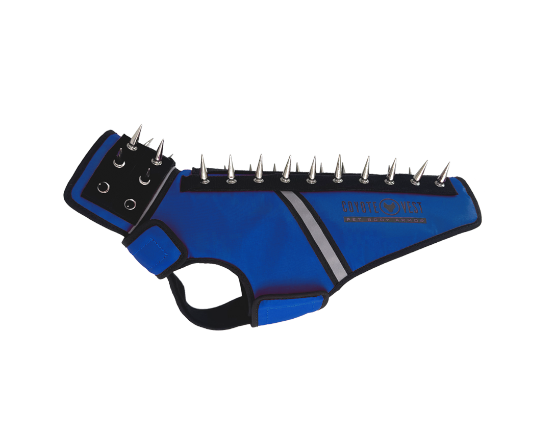 SpikeJacket Small Royal Blue