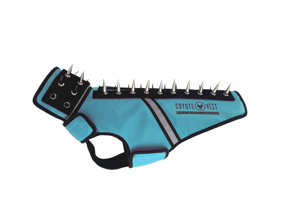 SpikeJacket Small Turquoise