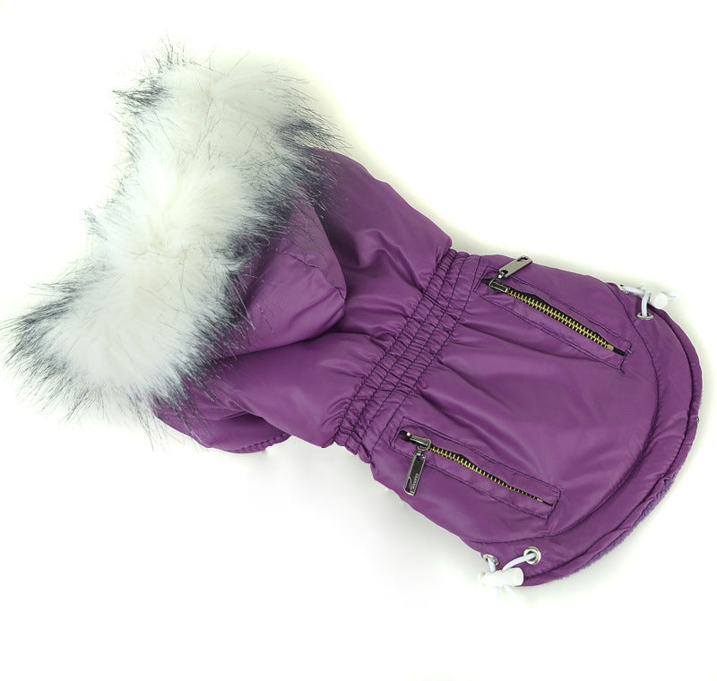 Zippered Cotton Padded Clothes For Pets Purple