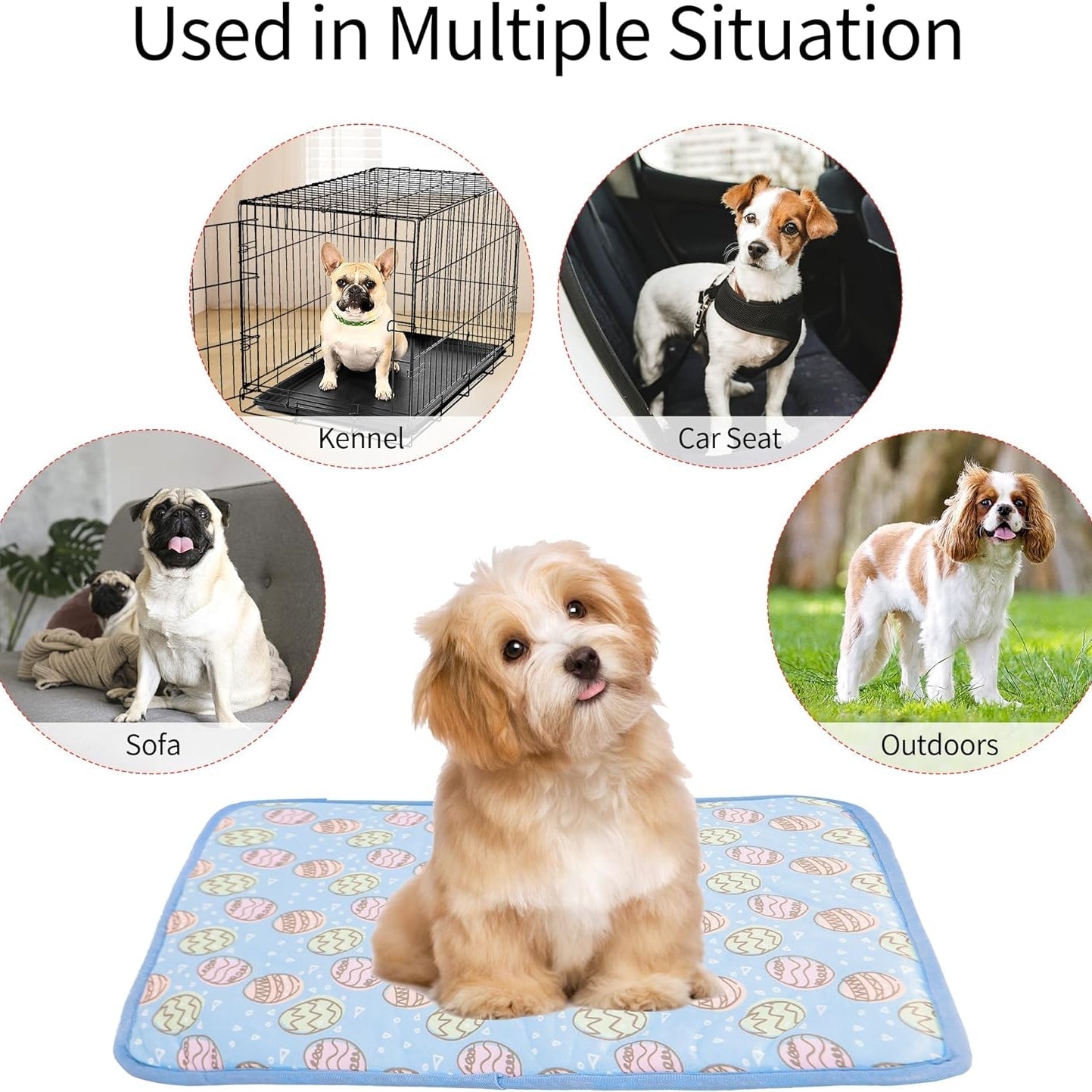 Keep Your Pet Cool All Summer With Cooling Mat For Cats And Dogs