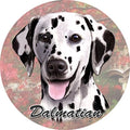 Dalmatian Car Coaster